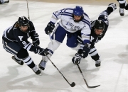 PG中国官网-跨界狂想，当足球城击溃雷鬼节奏，篮球场惊现塞尔维亚重炮