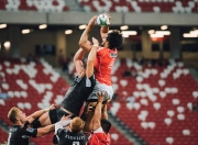 PG电子APP-从维也纳到伦敦，蒂姆的绝杀艺术，如何用拉沃尔杯的钥匙打开ATP总决赛之门