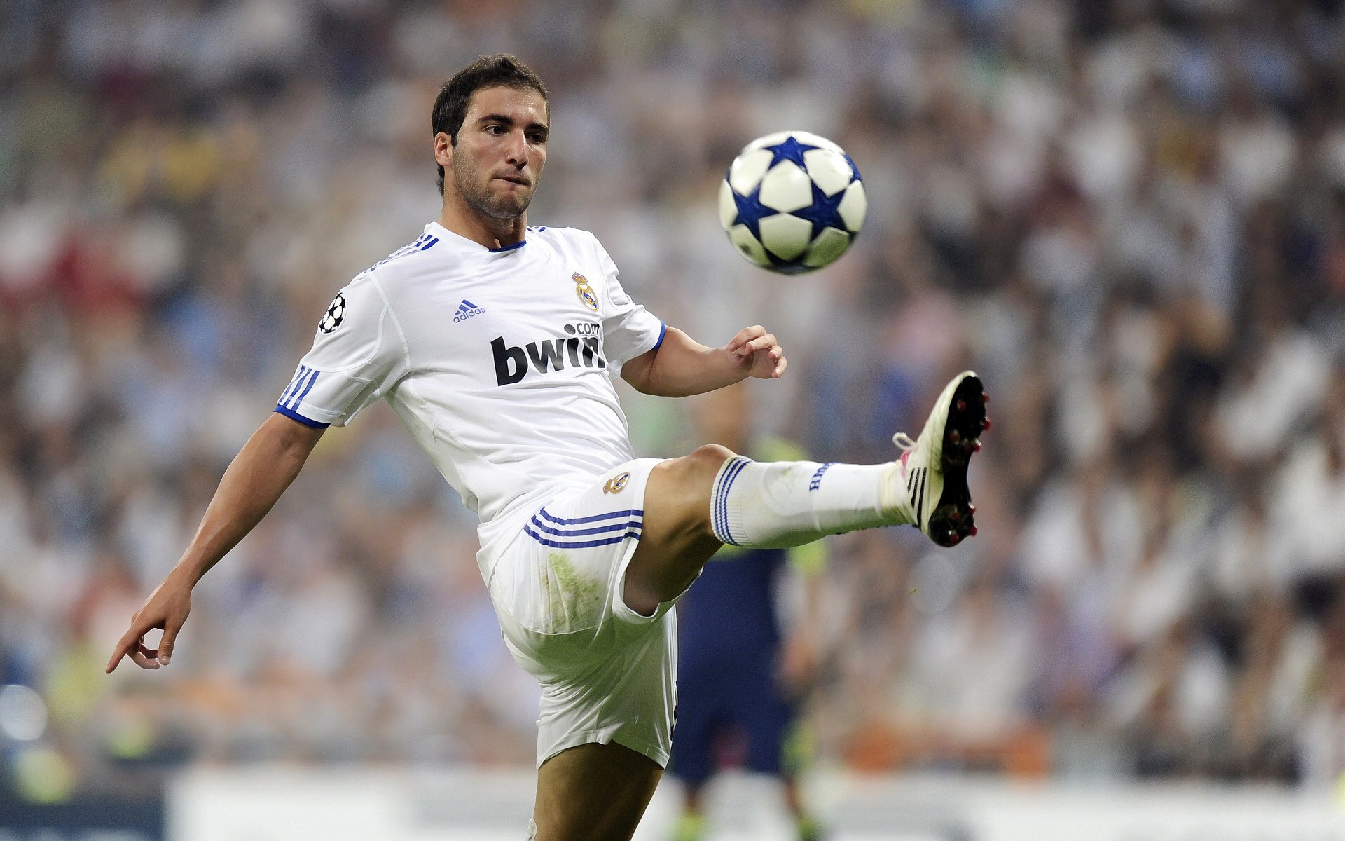 从迷失到主宰,福克斯的救赎之路与雄鹿的铁壁防线